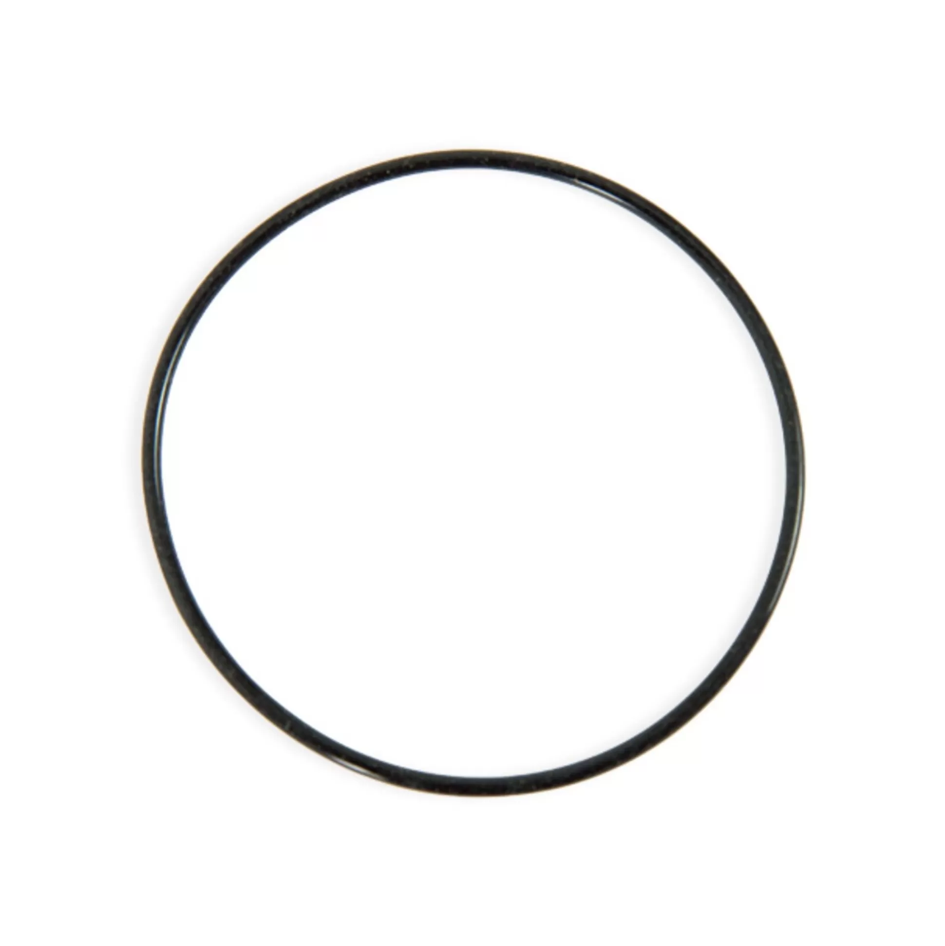 Bestway O-Ring For 1000 Gal Flowclear Sand Filter Cheap